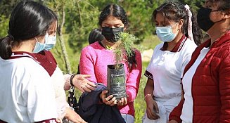 Ayuntamiento de Chiautempan plantará más de 5 mil árboles en al Malinche