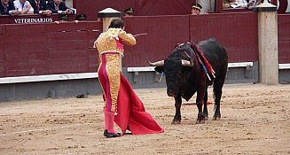 Surge nuevamente la propuesta de prohibir las corridas de toros en Puebla