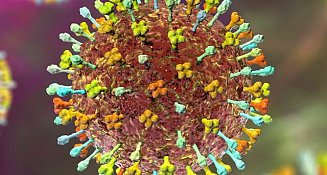 Lo que sabemos del henipavirus, el nuevo virus de origen animal identificado en china