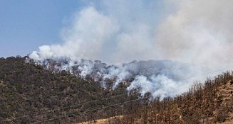 En cinco meses Puebla registra 366 incendios forestales 