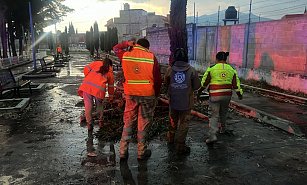 Atiende PC de Huamantla reporte por caída de rama de árbol por lluvias moderadas