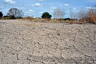 Incrementa sequía en Tlaxcala, afectada la mayoría del territorio