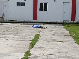 Muere mujer cerca las instalaciones de la PGJE, en Calpulalpan