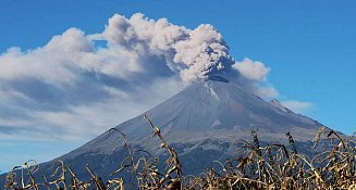 Actividad volcánica: Popocatépetl registró 30 emisiones en las últimas 24 horas