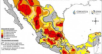 Más del 90% del estado se mantiene libre de sequía: MSM