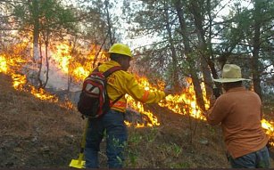 Comuneros y habitantes piden ayuda para combatir incendio en Oaxaca