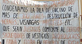 Piden a AMLO detener ecocidio en Calpulalpan