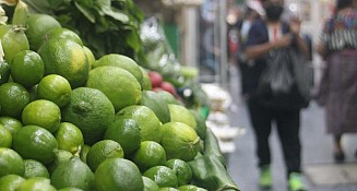 SADER asegura que el incremento en el precio del limón es injustificado; el gobierno va tras los intermediarios