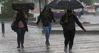Tormenta tropical 'Celia' ocasionará fuertes lluvias en al menos 13 estados