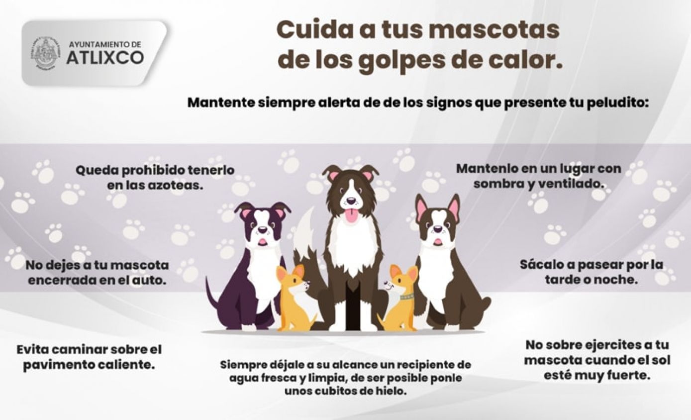 Atlixco