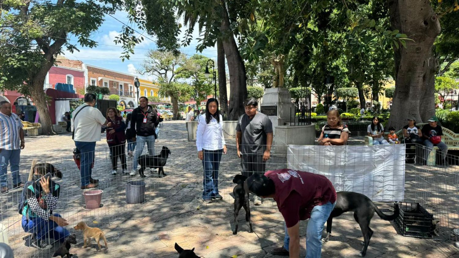 Adógtame, Atlixco