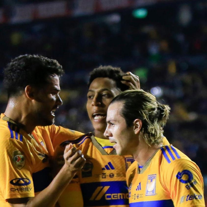 Tigres