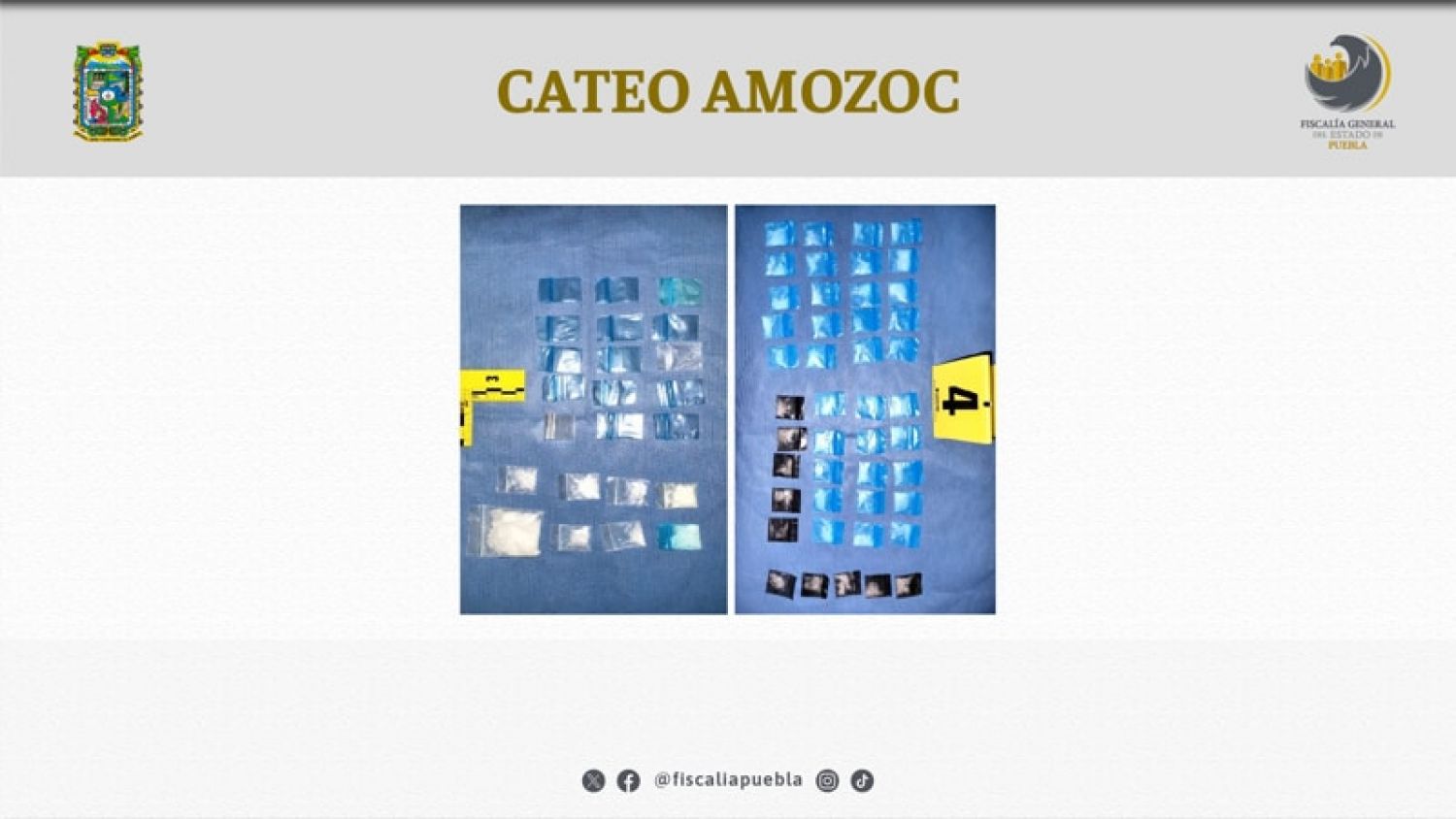 Cateo