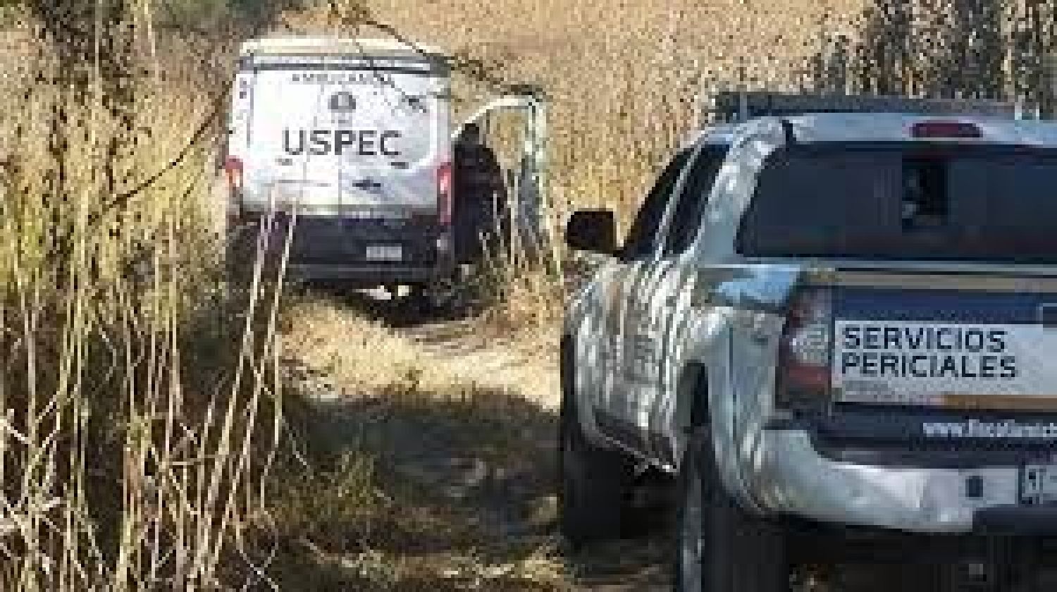 Localizan 11 cuerpos en fosa clandestina en Michoacán 