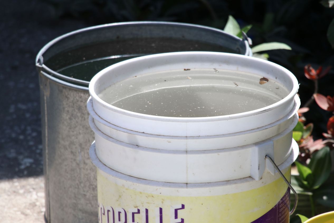 Dengue en Puebla