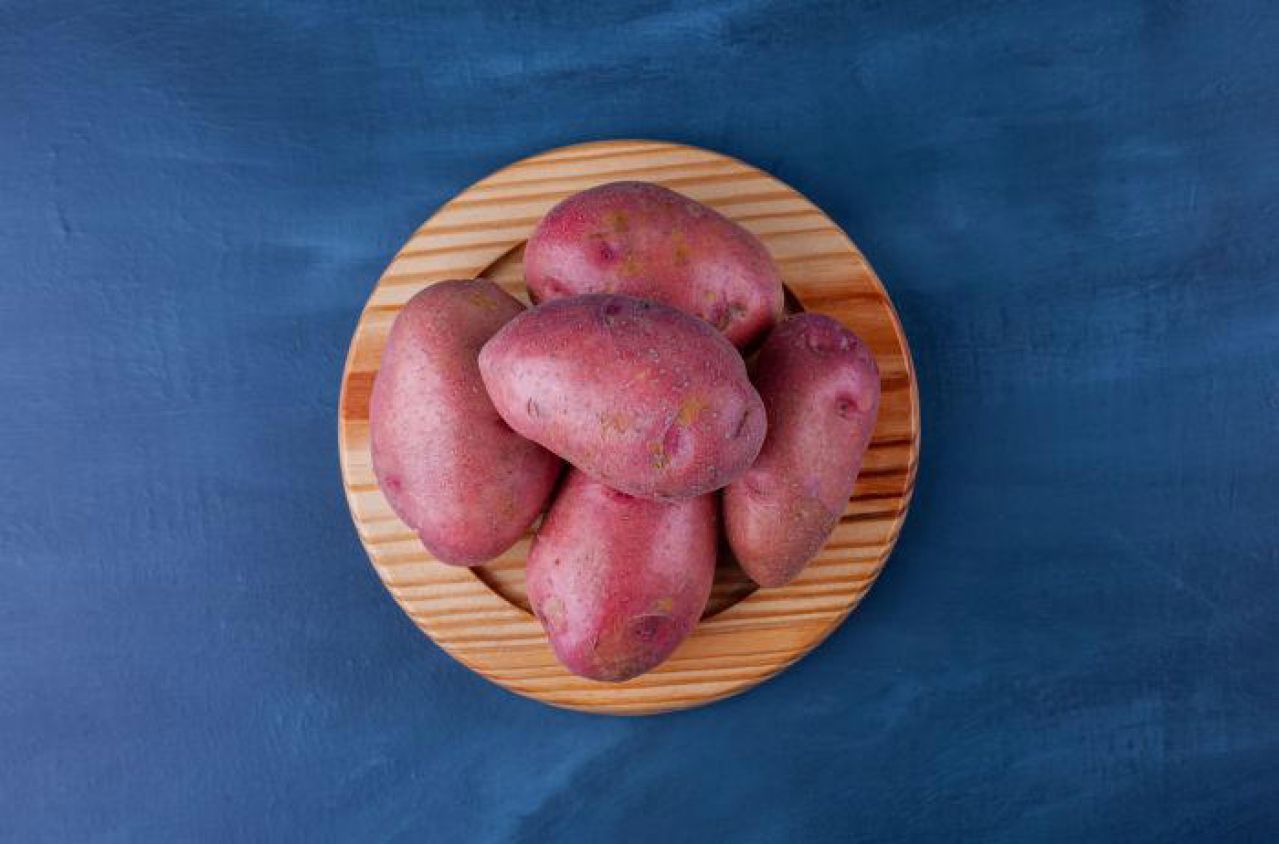 Descubren cerebros de humanos preservados desde hace 12 mil años
