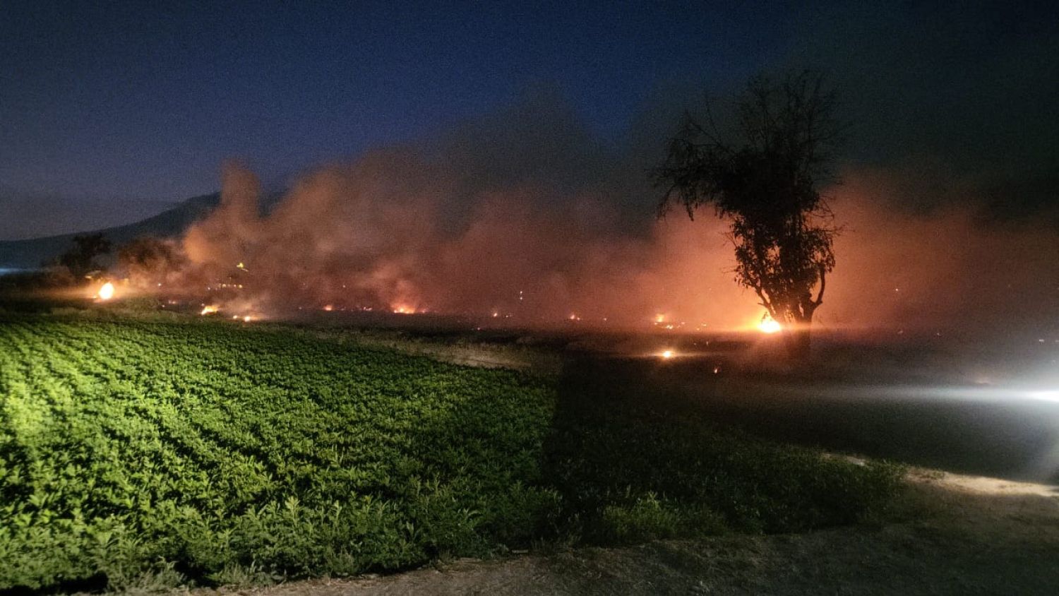 Cuidemos Atlixco, evita quema de pastizales para prevenir incendios forestales.
