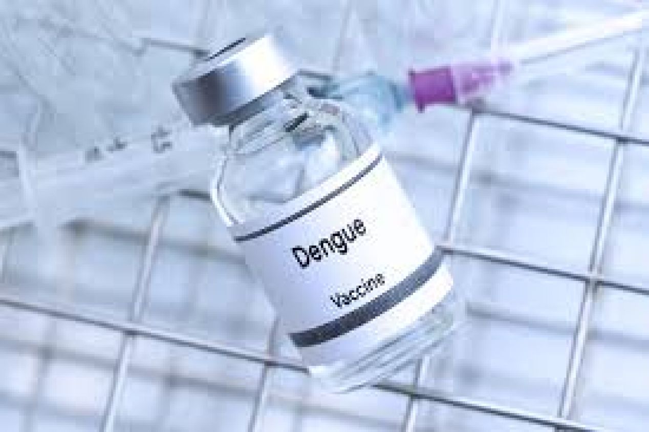 OMS aprueba vacuna contra el dengue 