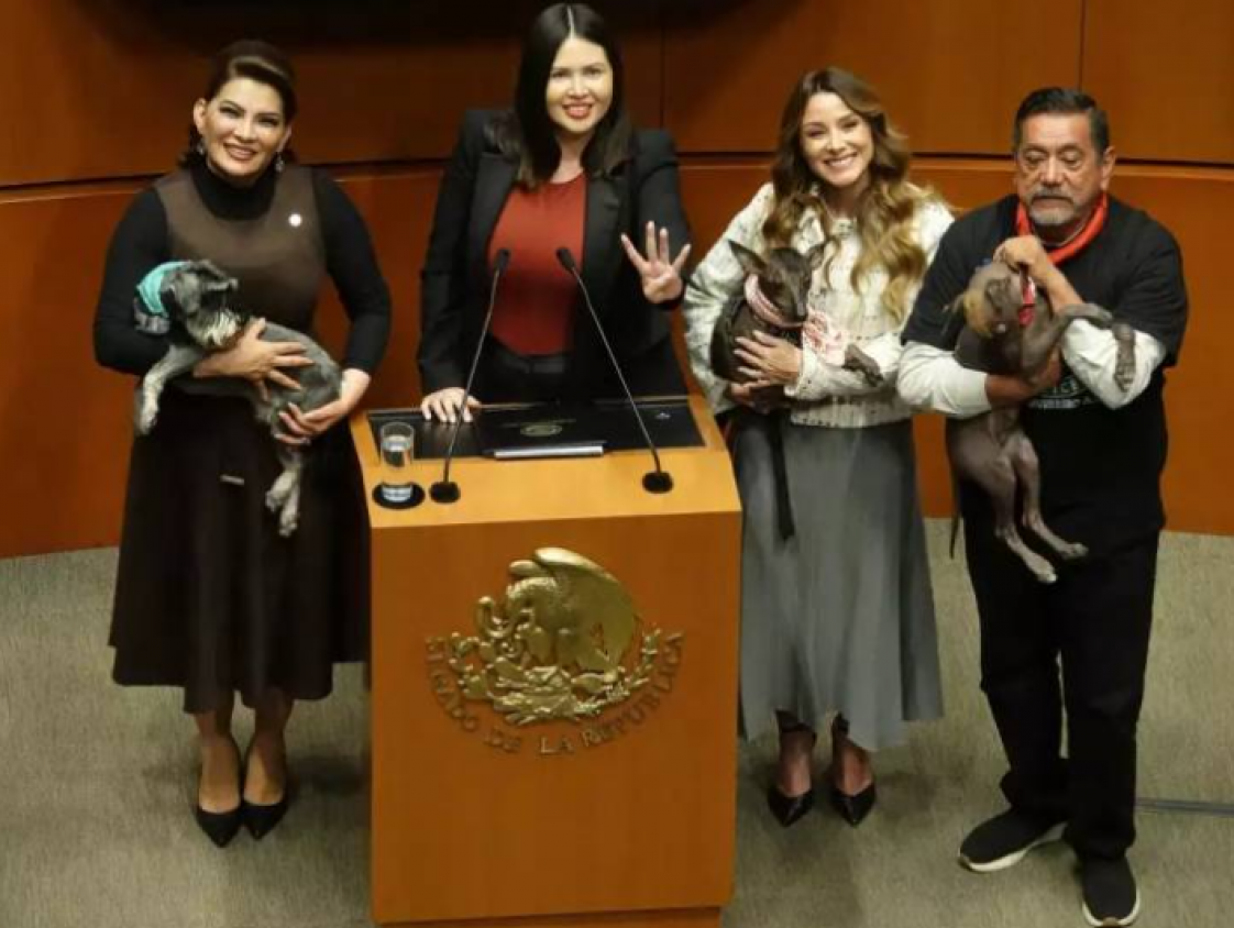 Senado aprueba reforma para garantizar el bienestar y la protección de los animales