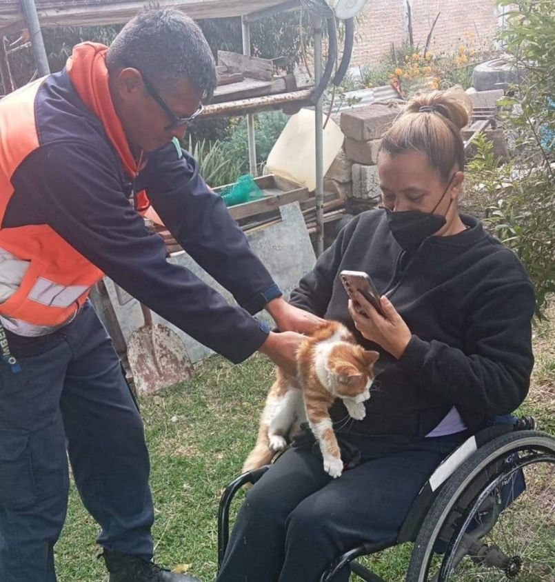 Rescate de gatito en Santiago Xicotenco