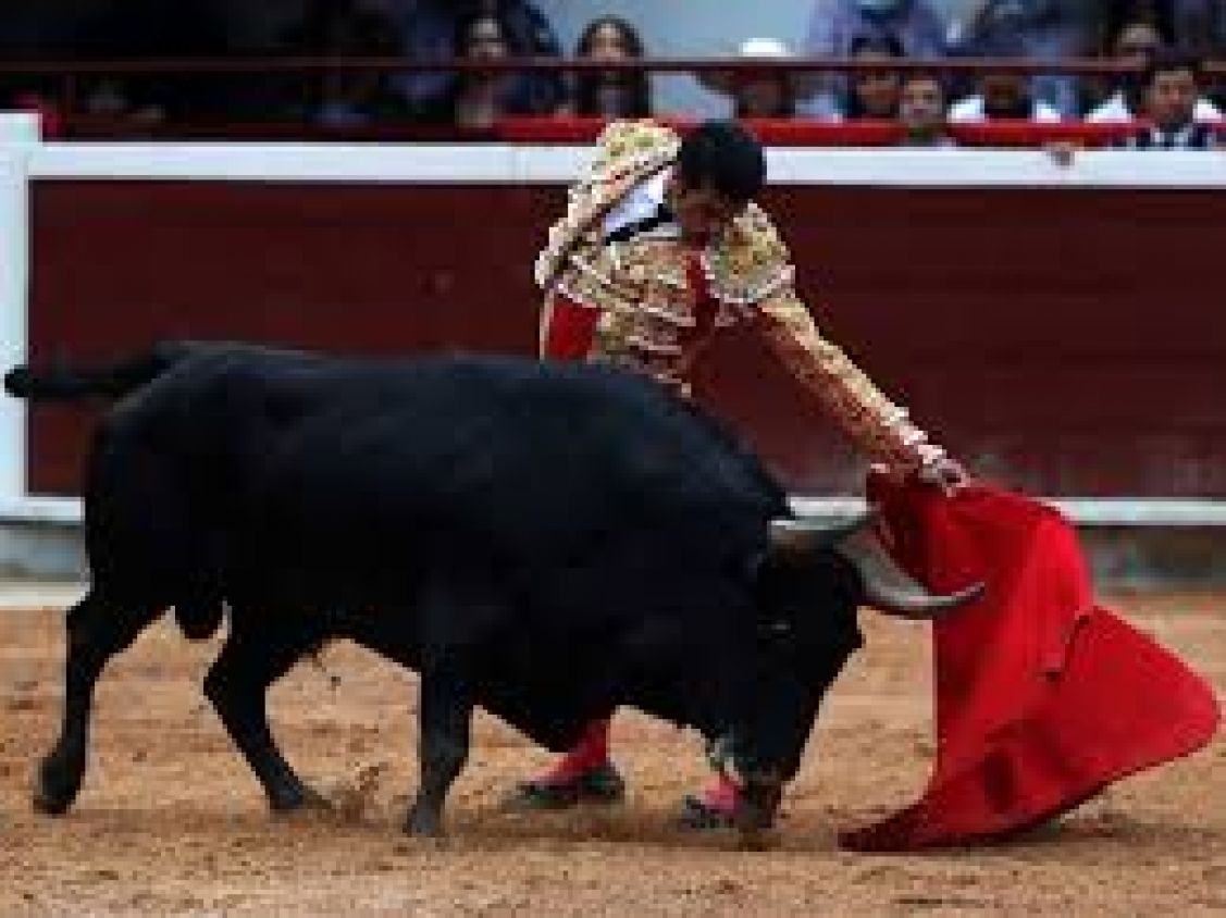 Sheinbaum revisará la continuidad de las corridas de toros en México como parte de su postura en defensa de los animales