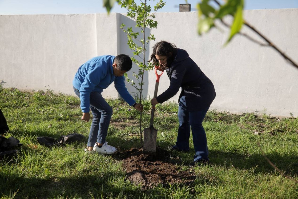 Lupita Cuautle arranca Jornada de Reforestación