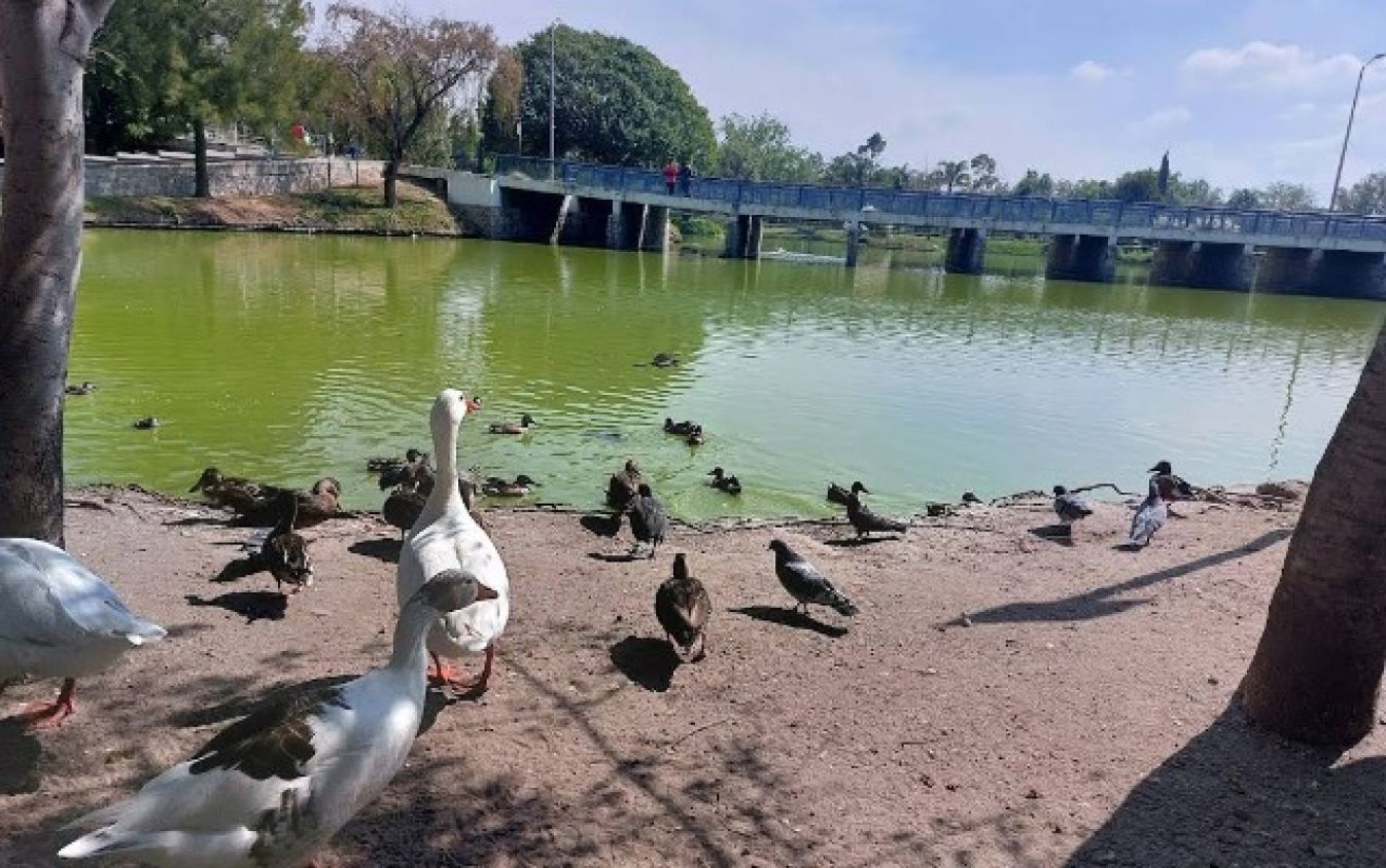Gobierno de Puebla anuncia cancelación del Coca-Cola Food Fest en Parque Ecológico 
