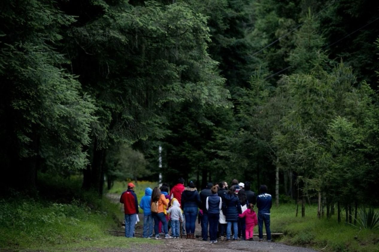 Temporada de luciérnagas en Tlaxcala genera 10.5 mdp y atrae turismo internacional