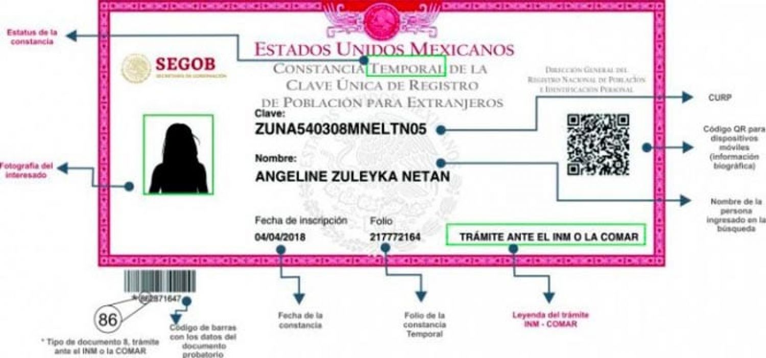 Nueva CURP biométrica será obligatoria en 2026: requisitos y seguridad