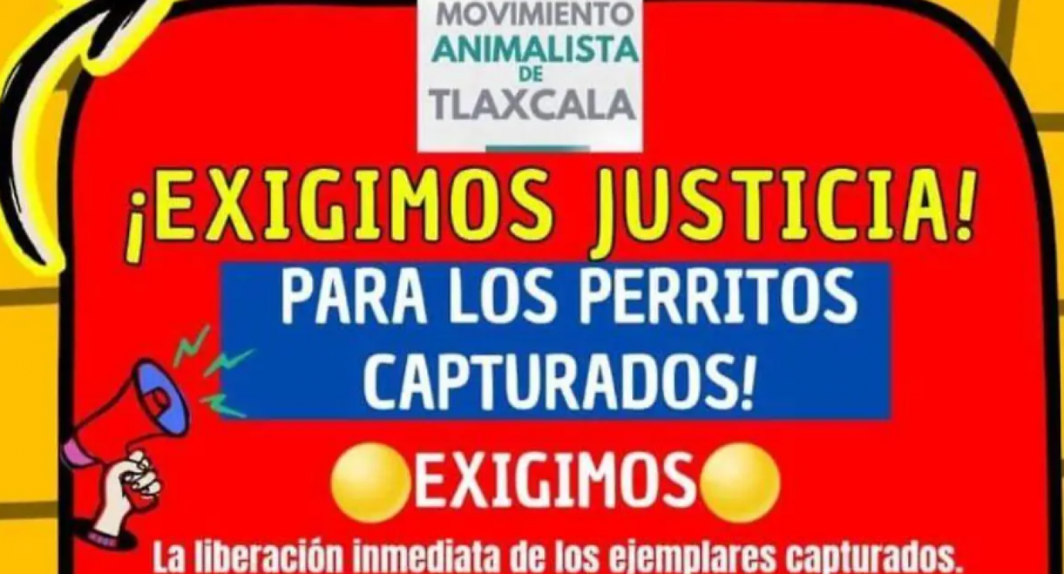Captura de perros callejeros en Tlaxcala desata protesta animalista