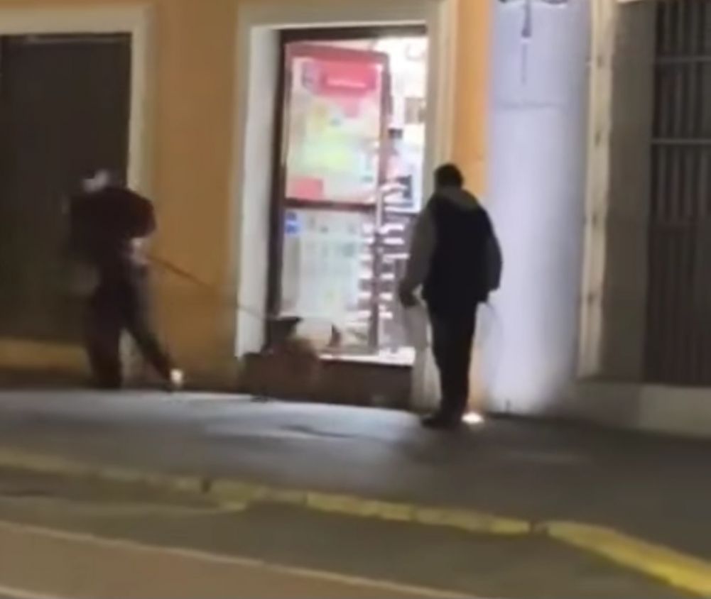 PROPAET y CBA se lavan las manos de captura de canes en la capital