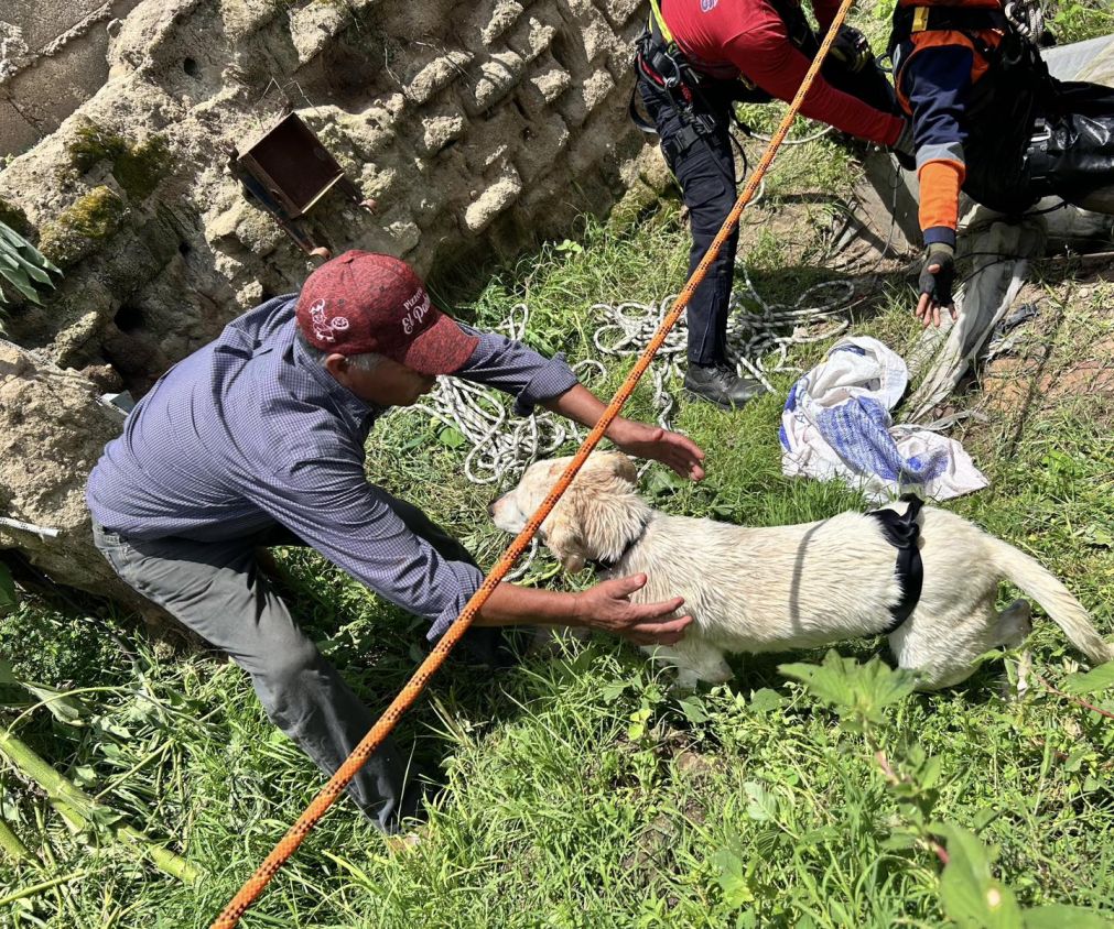 Bomberos de San Andrés Cholula rescatan a perrito que cayó a un pozo de 25 metros en San Luis Tehuiloyocan