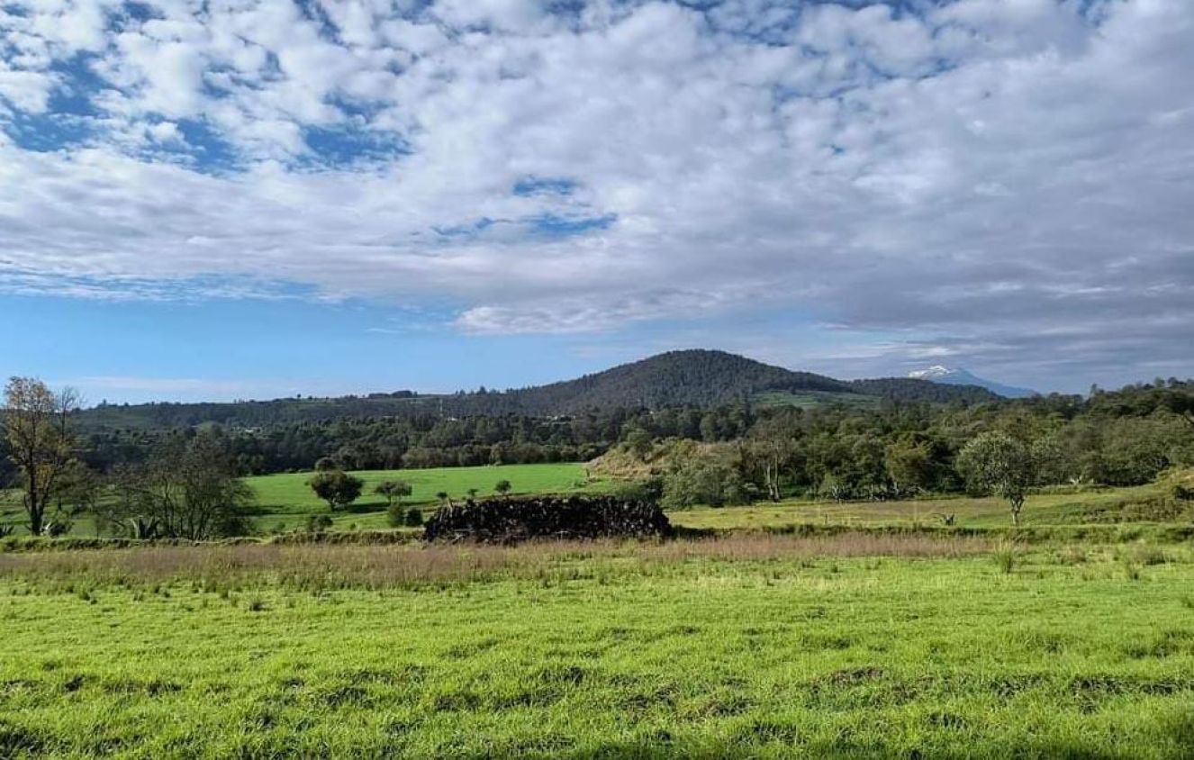 Lluvias en Tlaxcala dañan 300 hectáreas; productores exigen mejor seguro agrícola