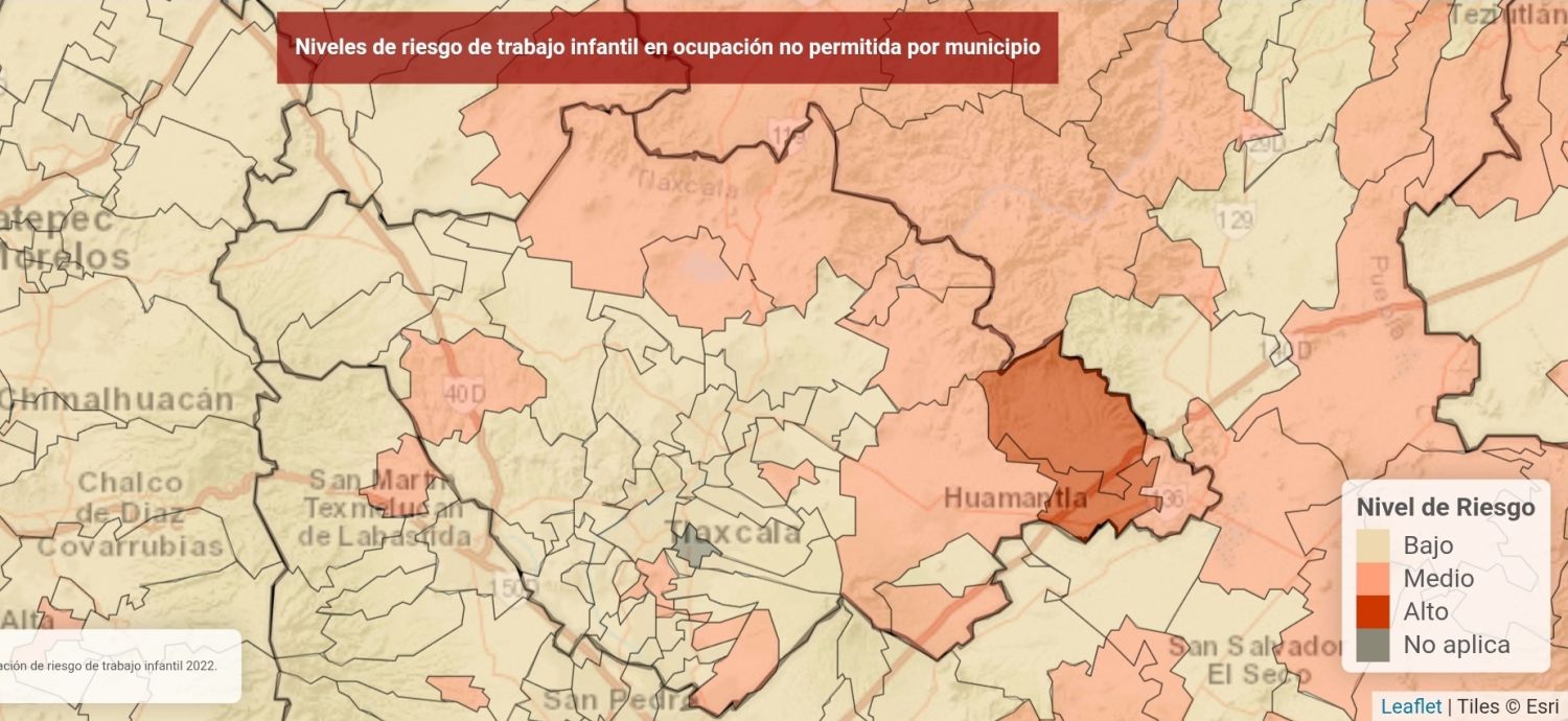 Atltzayanca y Cuapiaxtla con riesgo alto de trabajo infantil: STPS 