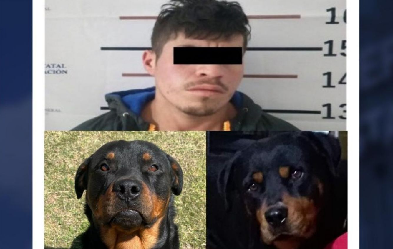 Vinculan a proceso a joven por envenenar a dos perros en Chignahuapan