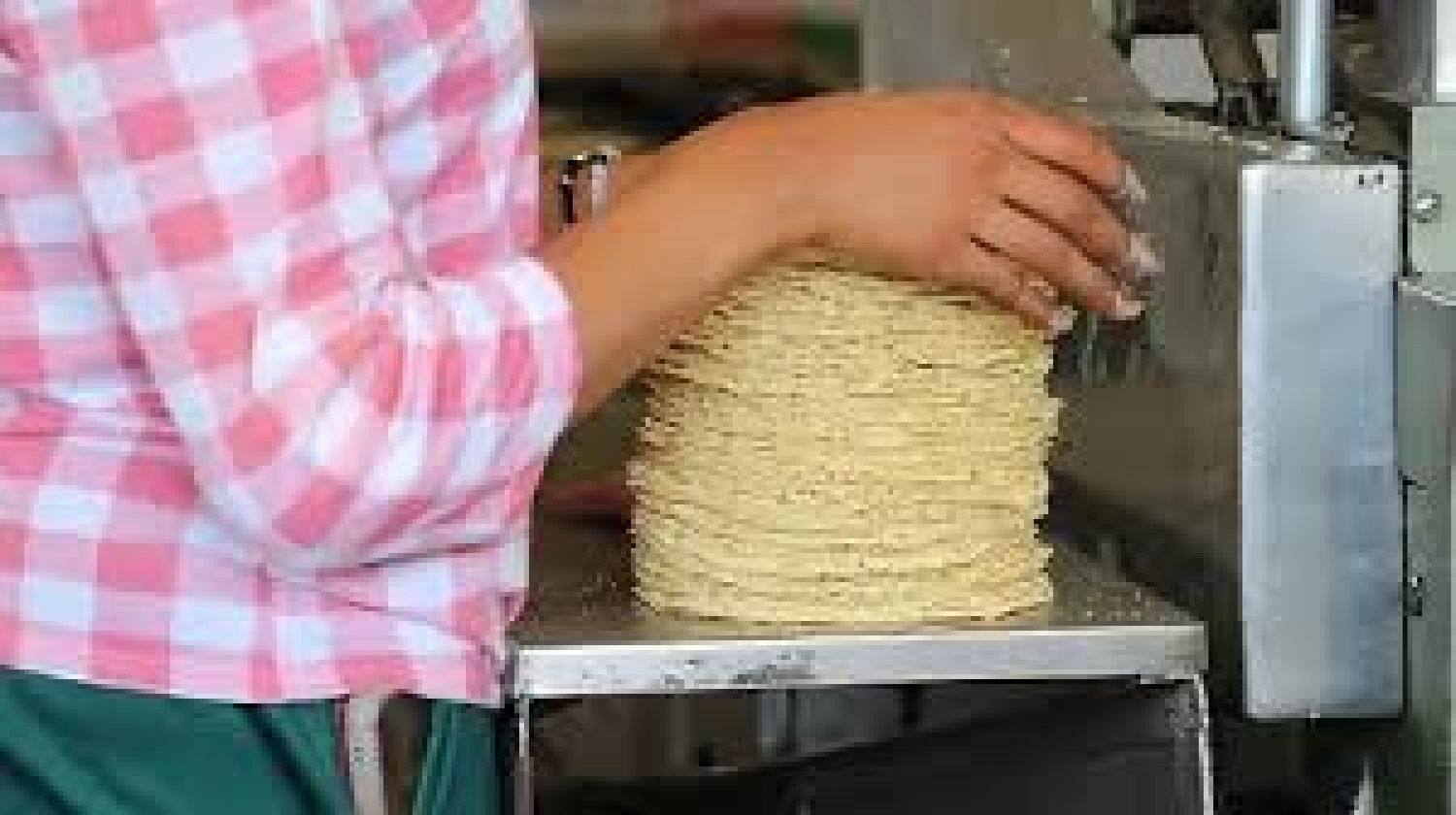 Tlaxcala ofrece una de las tortillas más baratas de México: Profeco