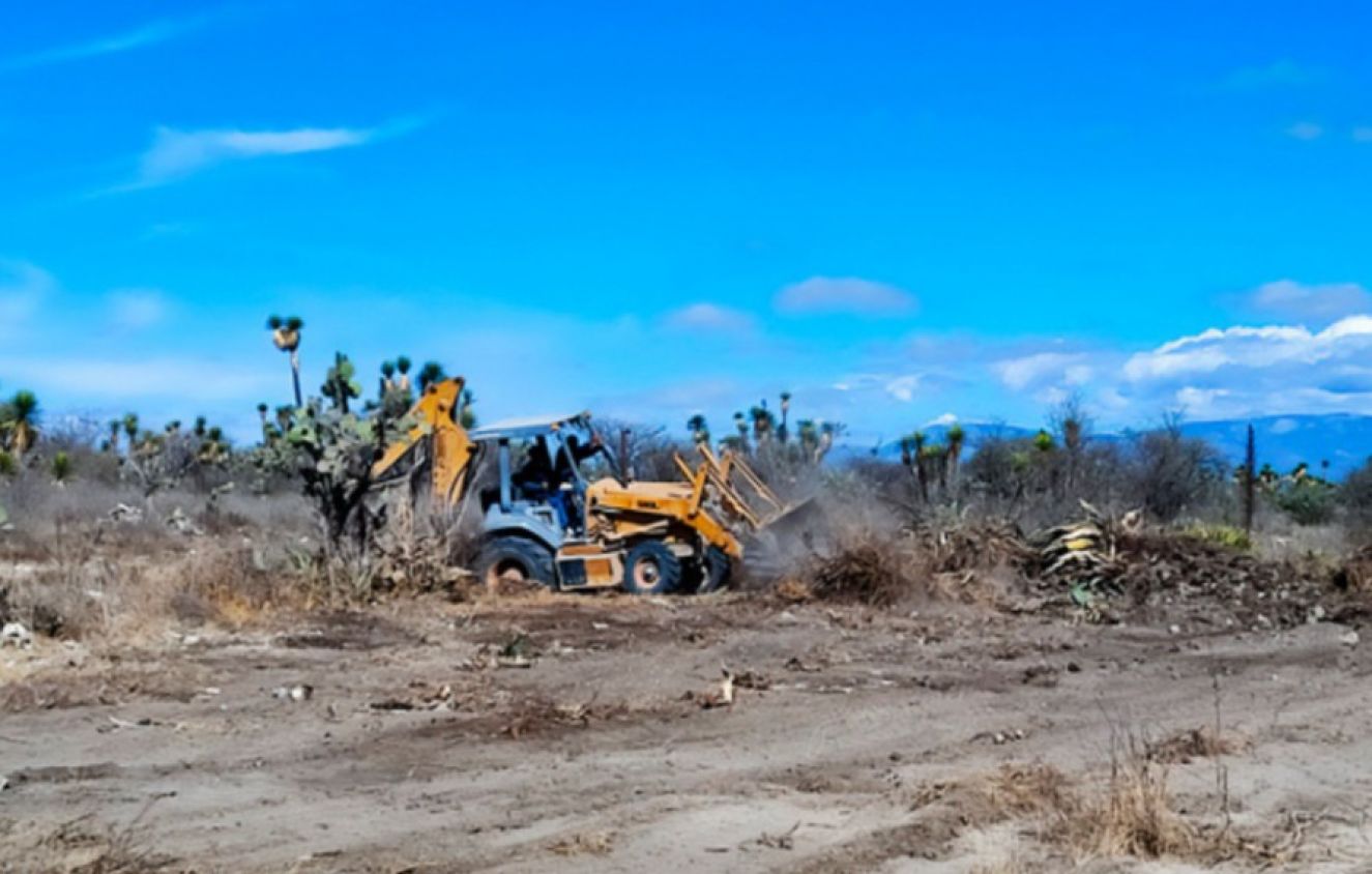 Primera sentencia en Puebla por daño ambiental en zona protegida