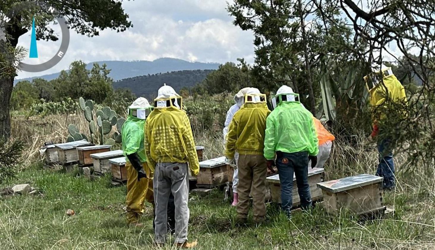 Fortalecen producción de miel en Tlaxco con inspecciones a colmenas