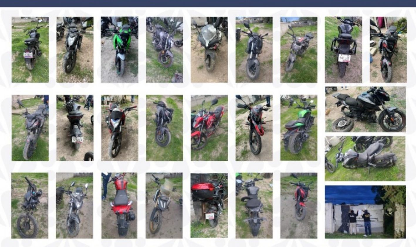 Fiscalía asegura 25 motos robadas en cateo realizado en Huixcolotla