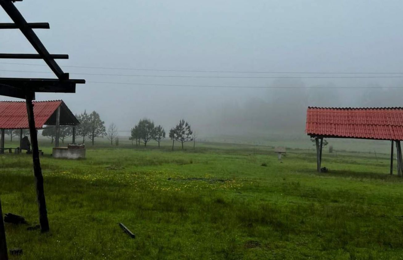 Temporada de Avistamiento de Luciérnagas 2025 en Tlaxcala: Naturaleza y Turismo Sustentable