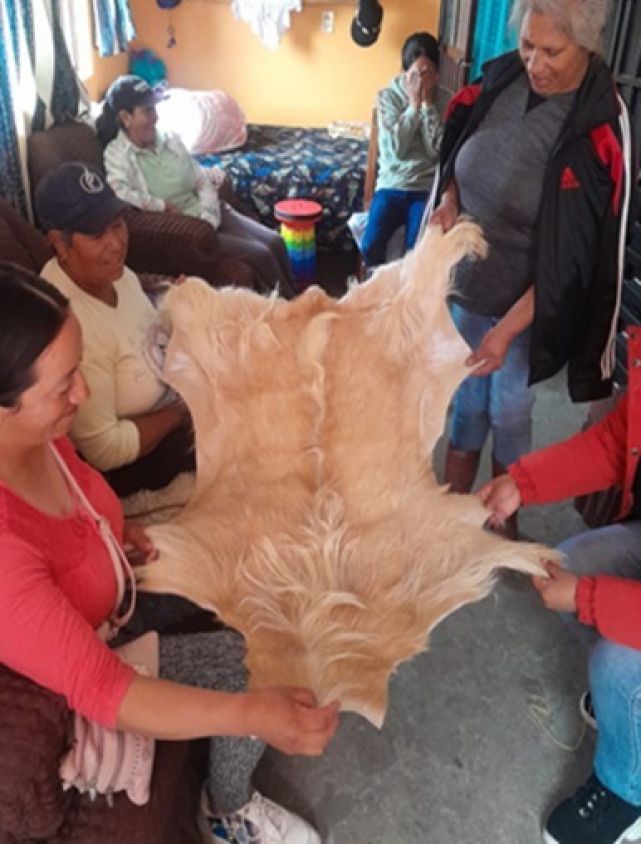 Productores de Atlangatepec aprenden a transformar pieles de borrego