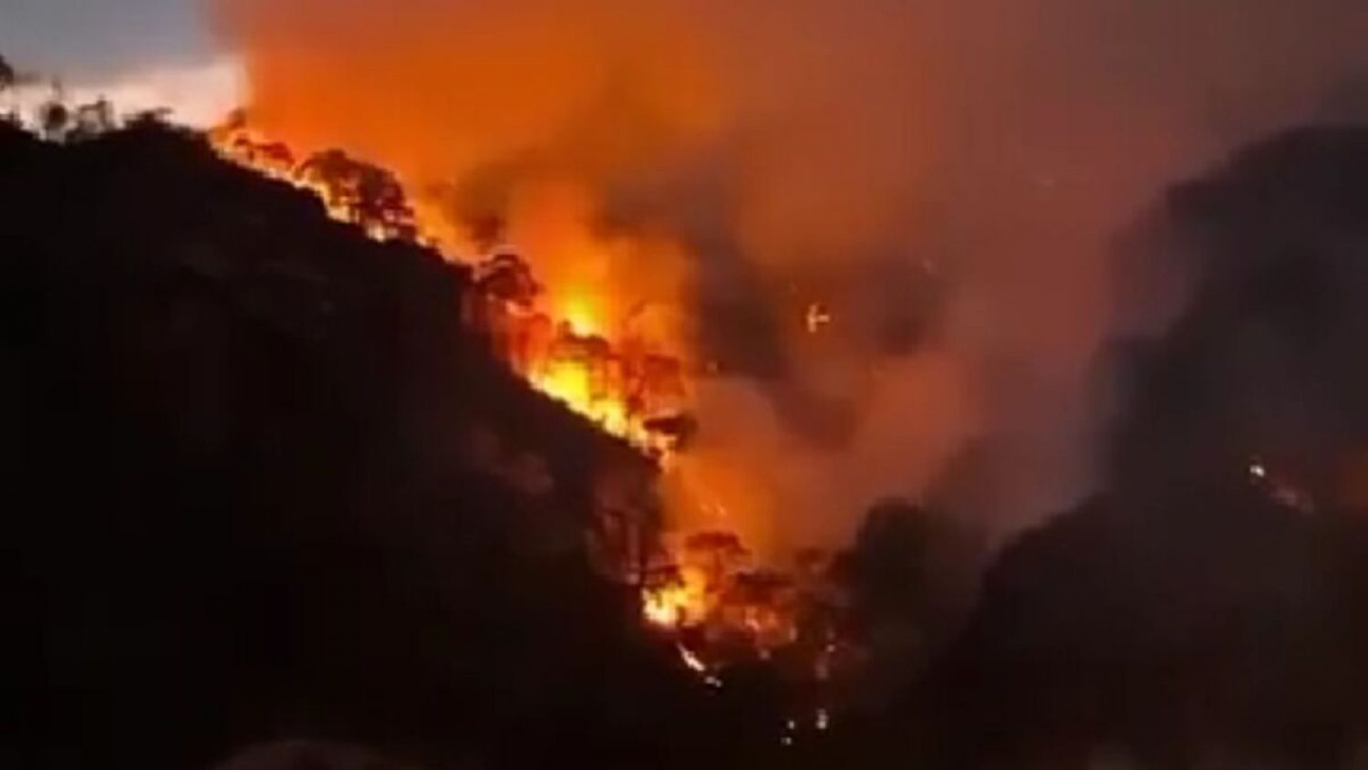 Gobierno de Morelos busca sanciones por incendio en Tepoztlán 