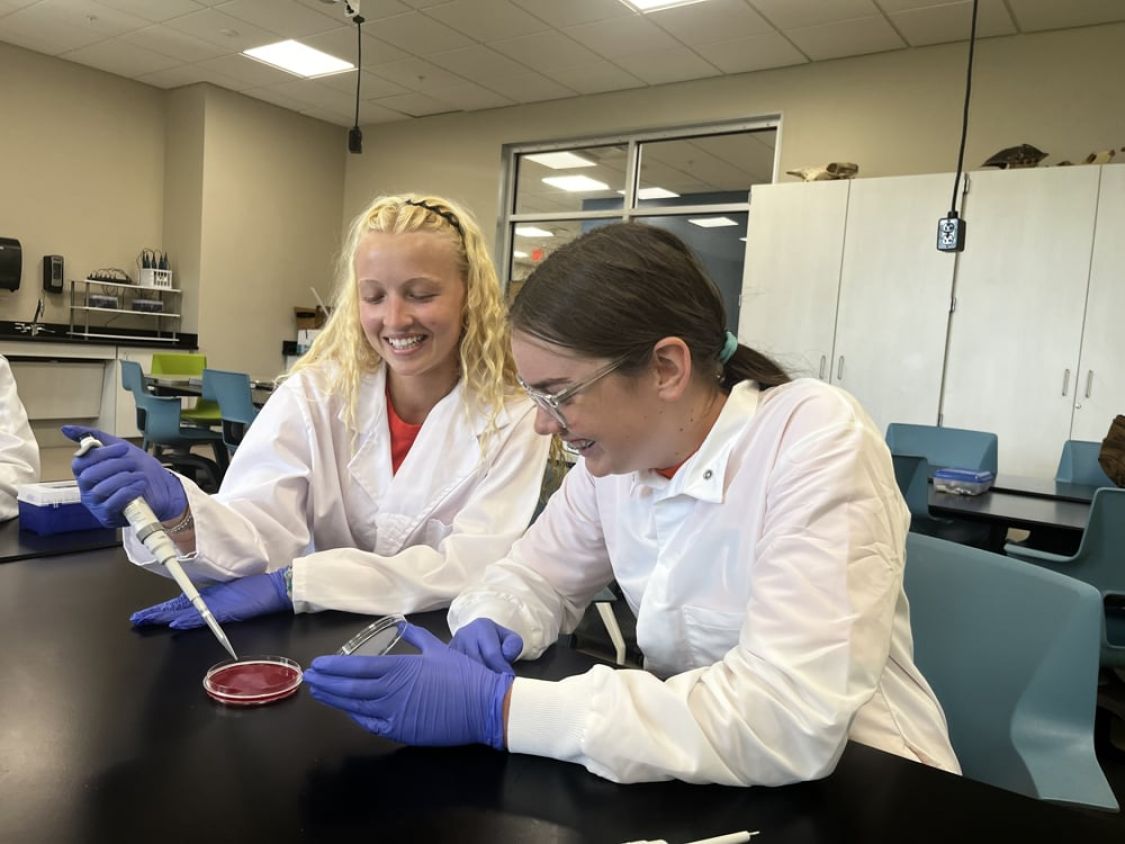 Superbacterias: una amenaza global