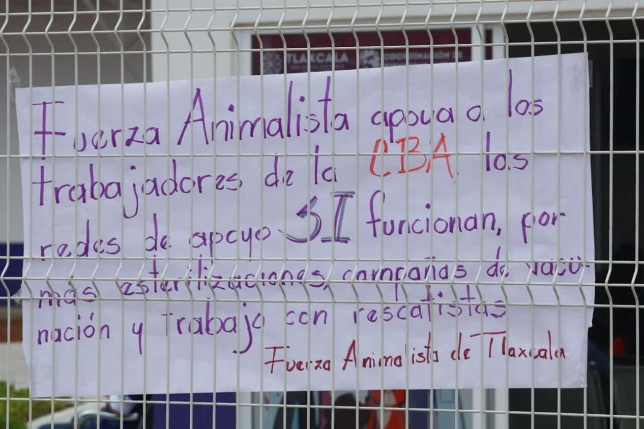 Rescatistas y animalistas demandan a CBA no privilegiar intereses políticos
