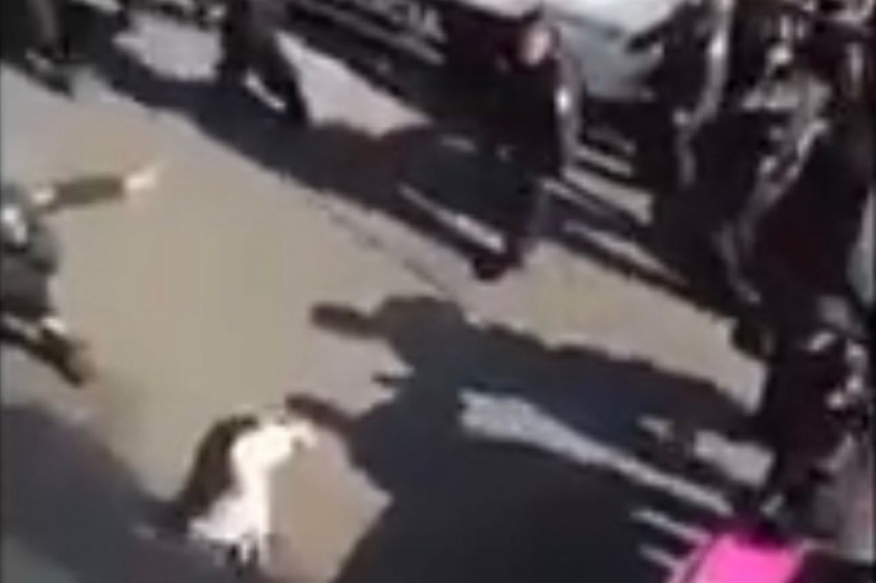 Sujetos lanzan su pitbull contra policías, los ataca y uniformados tienen que sacrificarlo