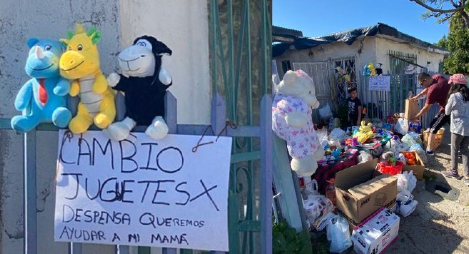 Niño de 10 años cambia sus juguetes por despensa para ayudar a su mamá