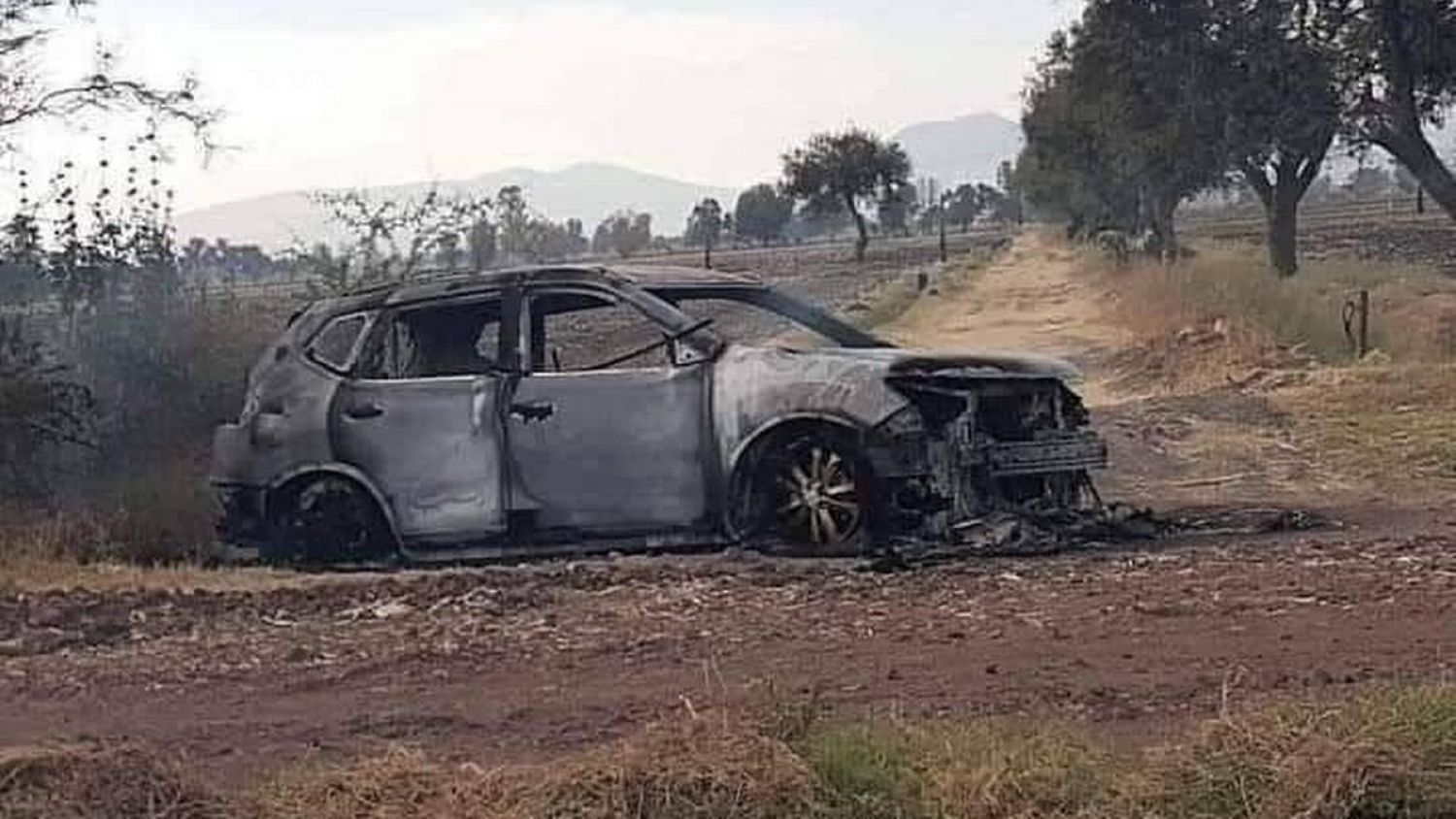 Hallan auto con 2 personas calcinadas en Guanajuato