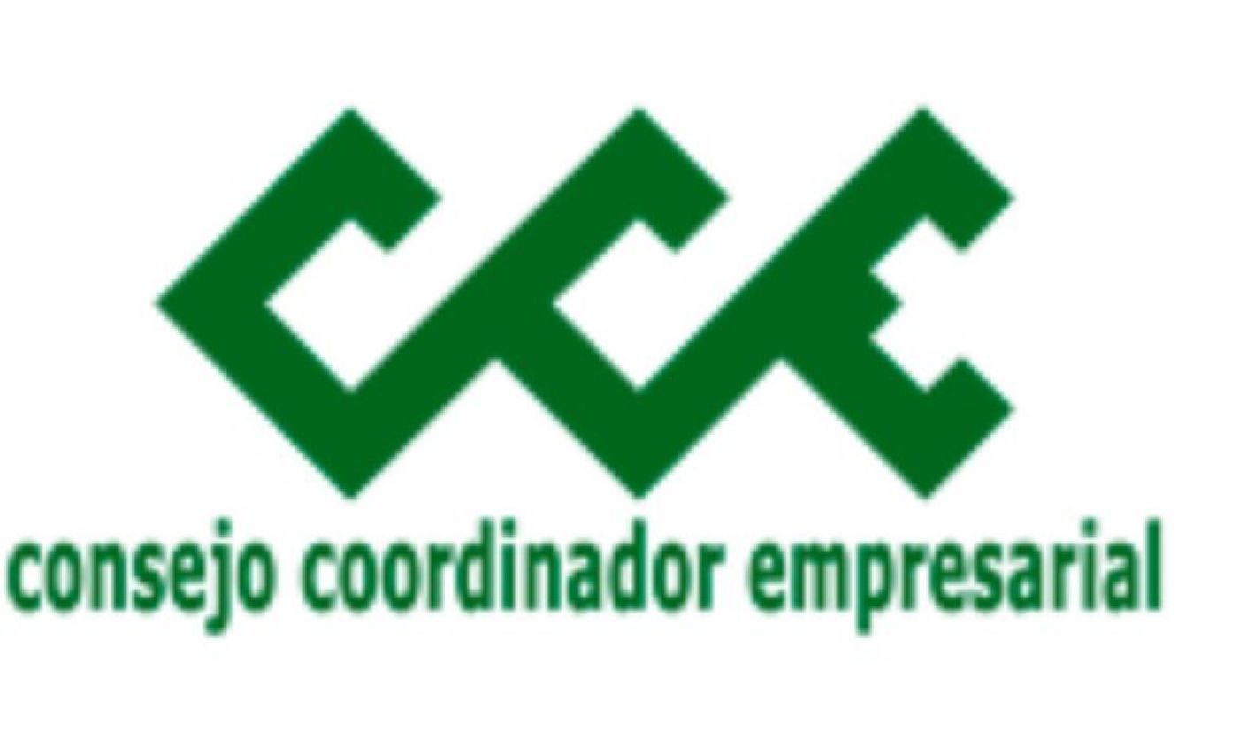 Daño a empresas por aumento al salario mínimo será perceptible en 4 meses: Presidente del CCE