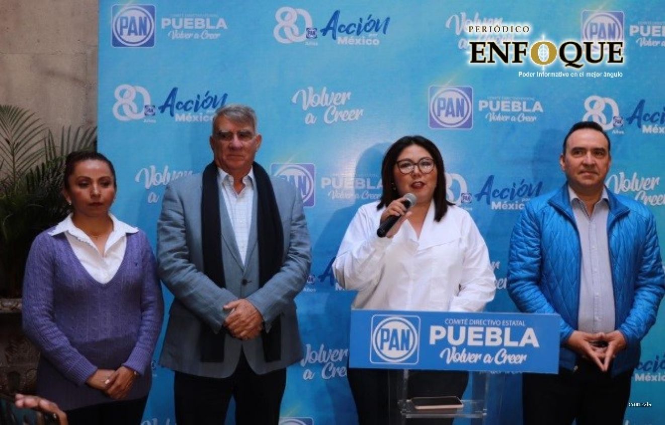 PAN apoyará amparos contra el Insabi (Video)