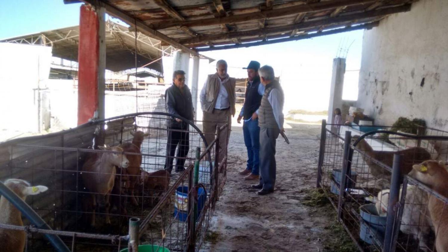 Comando armado irrumpe en rancho Tamariz de diputado de Morena; se llevan 3 cajeros